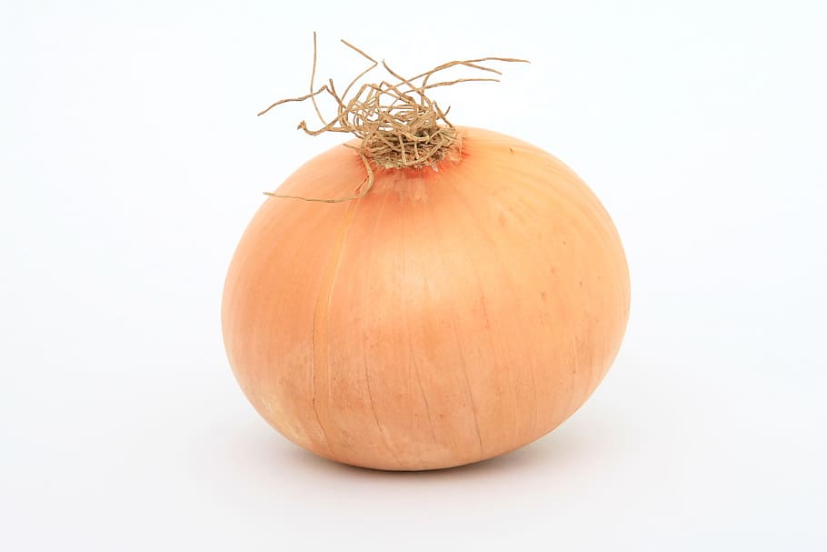 close, closeup, focus, food, ingredient, onion, vegetable, food and drink HD wallpaper