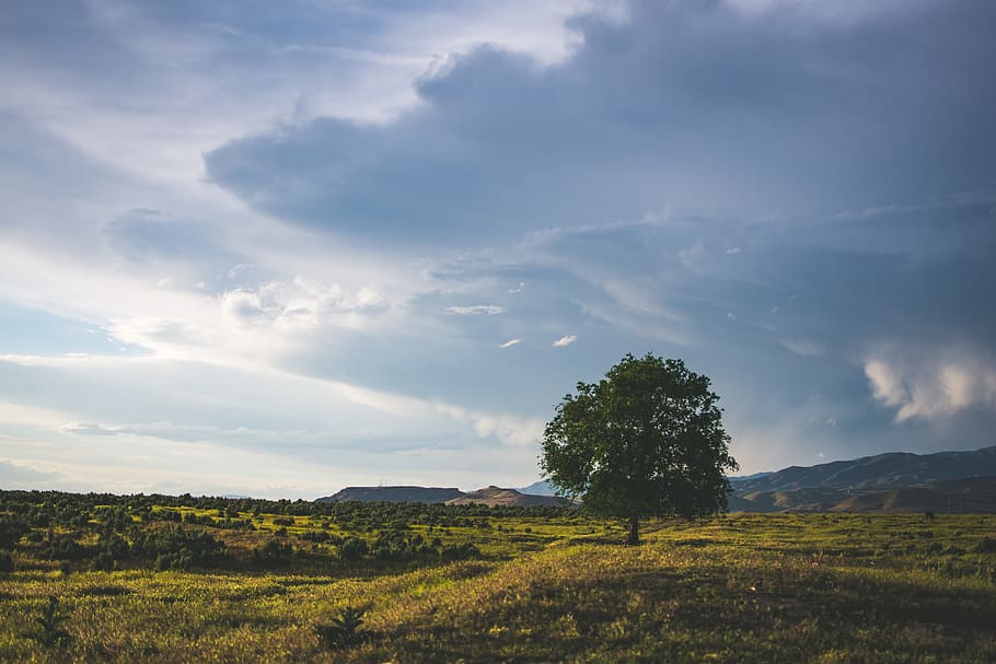 Green Leaf Tree Beside Mountain With Cloudy Sky, clouds, countryside HD wallpaper