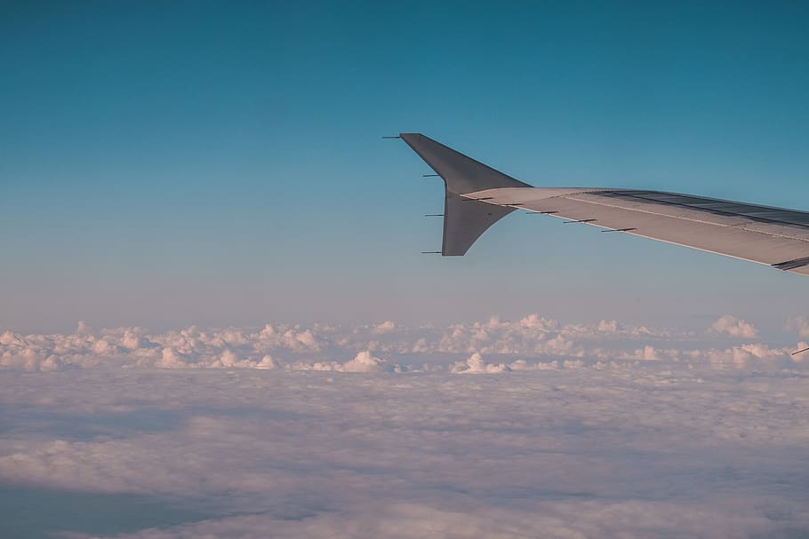 gray airplane, air vehicle, flying, sky, aircraft wing, mode of transportation HD wallpaper