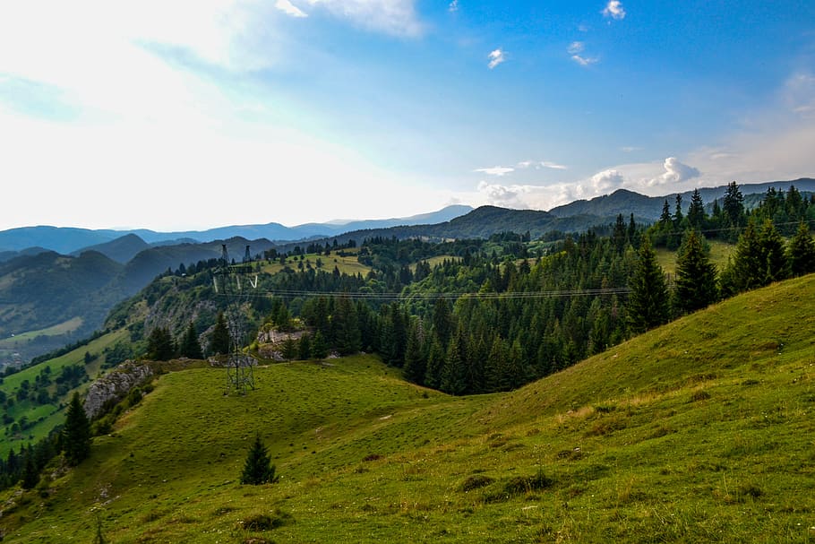 Green Trees on Mountain at Daytime, adventure, daylight, environment HD wallpaper