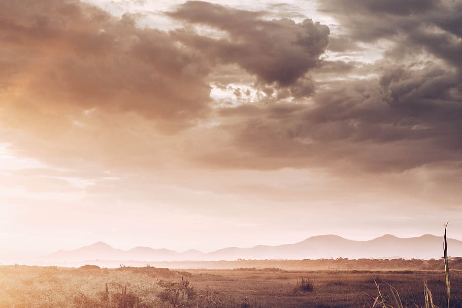 nature, landscape, field, grass, plants, sunset, clouds, sky HD wallpaper