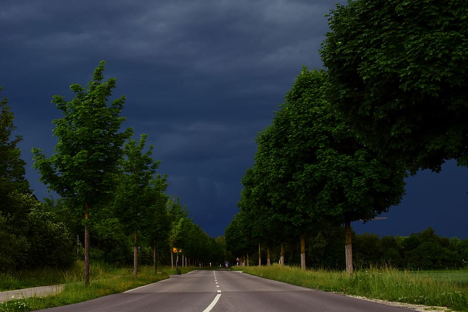 road, clouds, storm, thunderstorm, dark, threatening, trees HD wallpaper