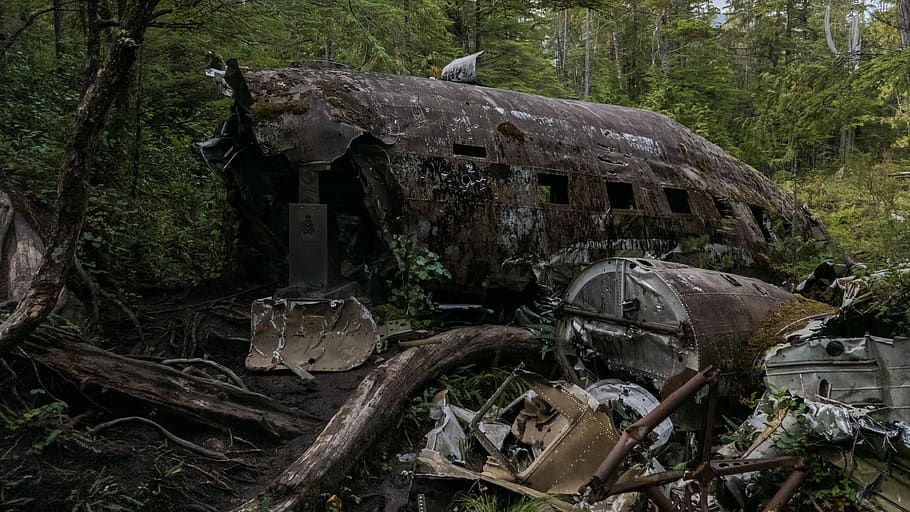 Заброшенные земли 2. Заброшенный самолет в лесу.