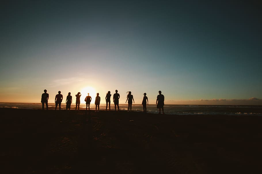 Silhouette of People during Sunset, backlit, beach, community HD wallpaper