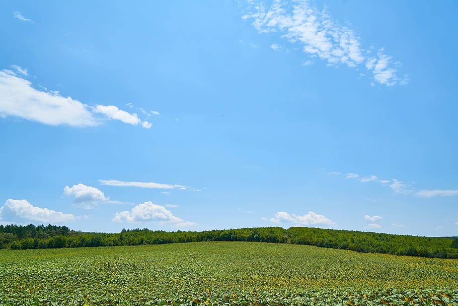 landscape, wallpaper, background, green, blue, nature, beautiful HD wallpaper