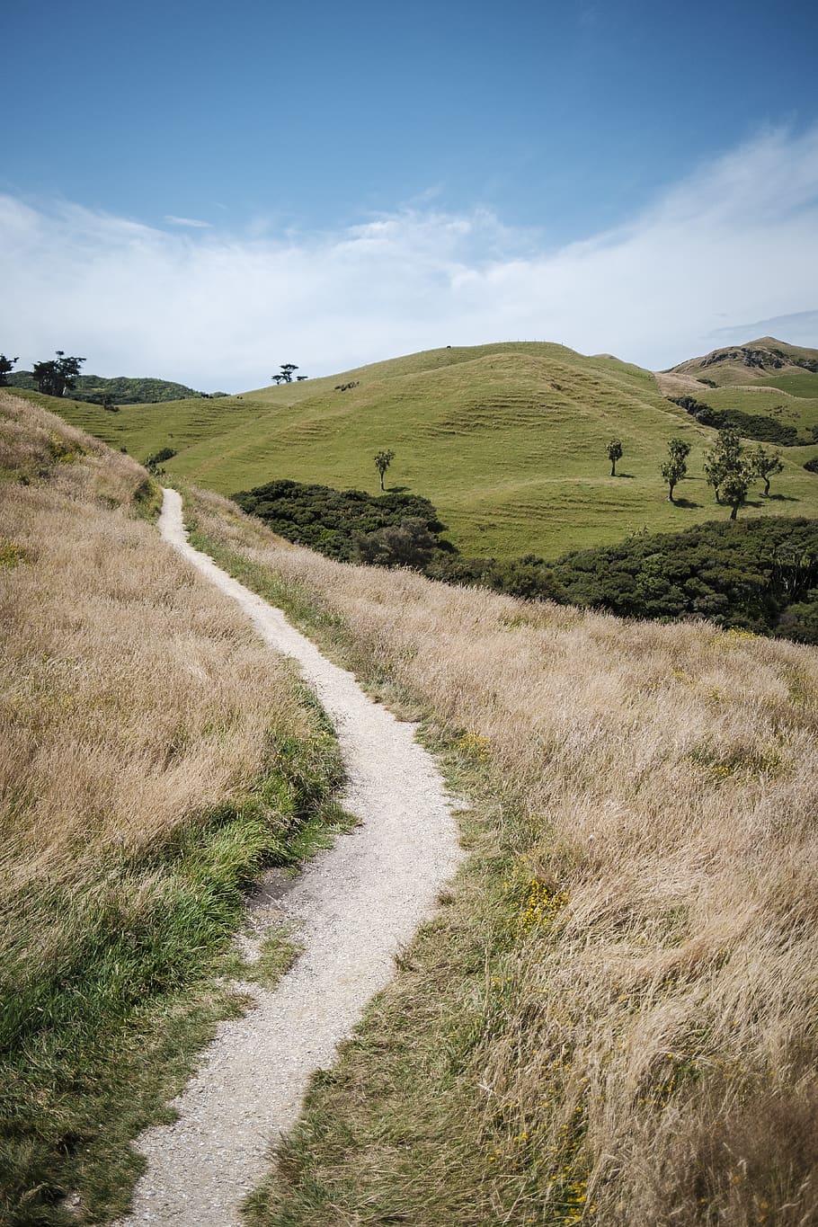 pathway near hills, landscape, environment, plant, grass, tranquil scene HD wallpaper