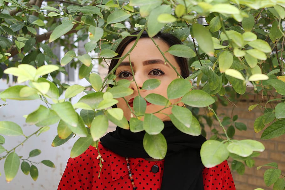 iran, leaf, plant part, portrait, front view, looking at camera HD wallpaper