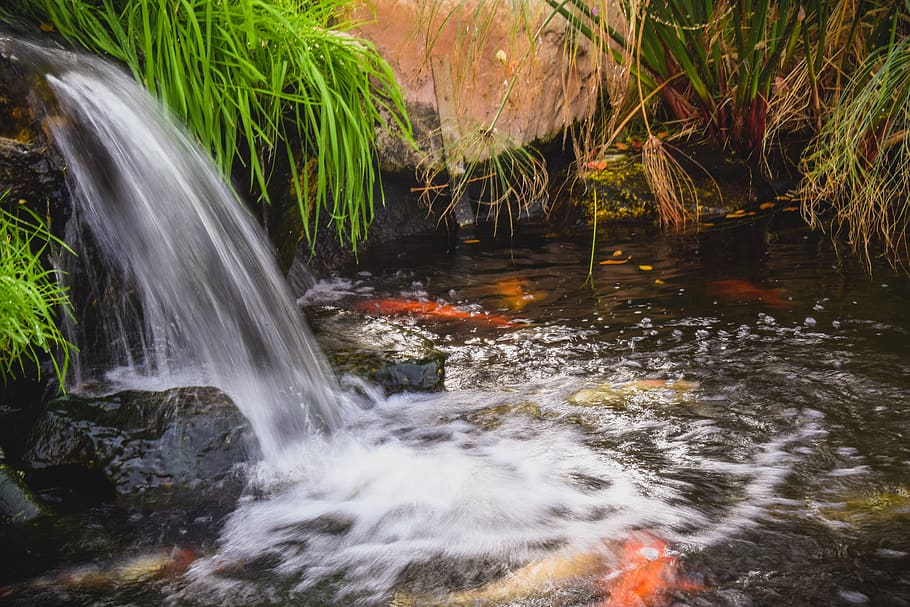 stream, water, pond, waterfall, creek, nature, flowing, scenery HD wallpaper