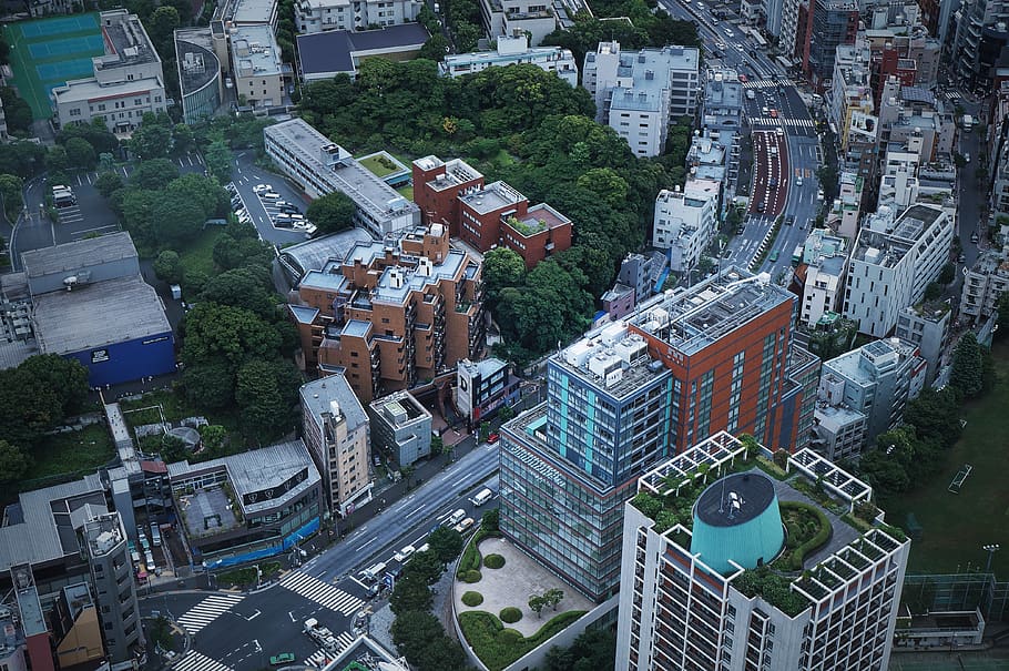 japan, minato-ku, tokyo city view and sky deck, street, building, HD wallpaper