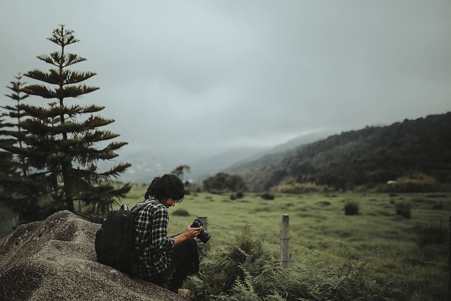 Man Sitting Near Pine Tree Under Cloudy Sky, adventure, camera HD wallpaper