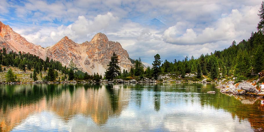 Pine Trees Near Body of Water, clouds, daylight, environment HD wallpaper