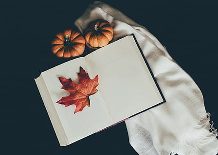 brown dried leaf on book page, cozy, open book, wallpaper, still life HD wallpaper