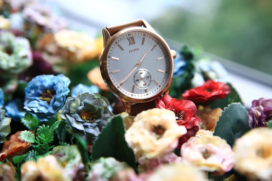 flowers, plant, time, clock, close-up, nature, freshness, selective focus HD wallpaper