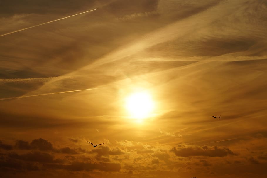 Sunrise Wallpaper, atmosphere, birds, cloud, clouds, color, dawn HD wallpaper