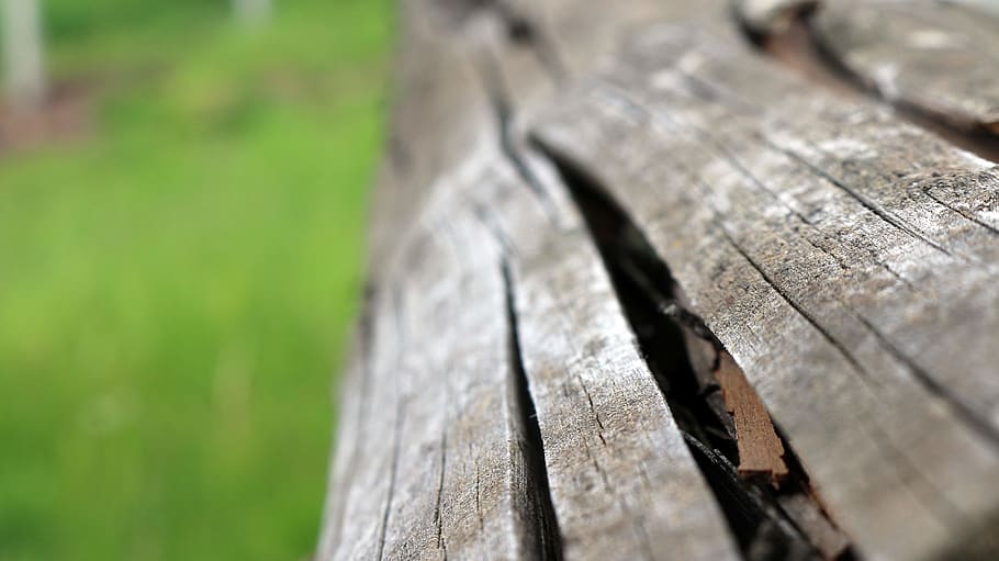 wood, texture, bark, wood - material, selective focus, no people HD wallpaper