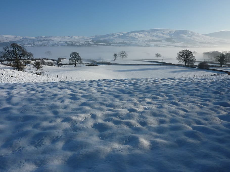 snow, winter, countryside, yorkshire dales, frost, morning, HD wallpaper