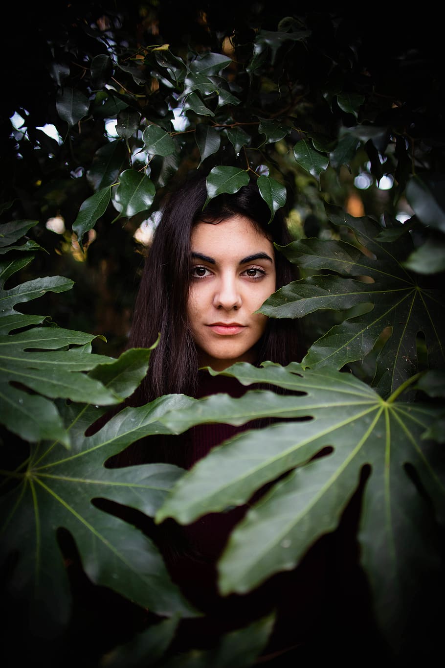 HD wallpaper: portrait photography of woman surrounded by green leafed ...