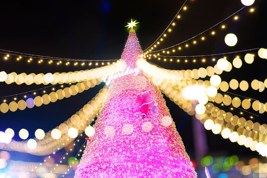lighted pink Christmas tree, illuminated, lighting equipment HD wallpaper