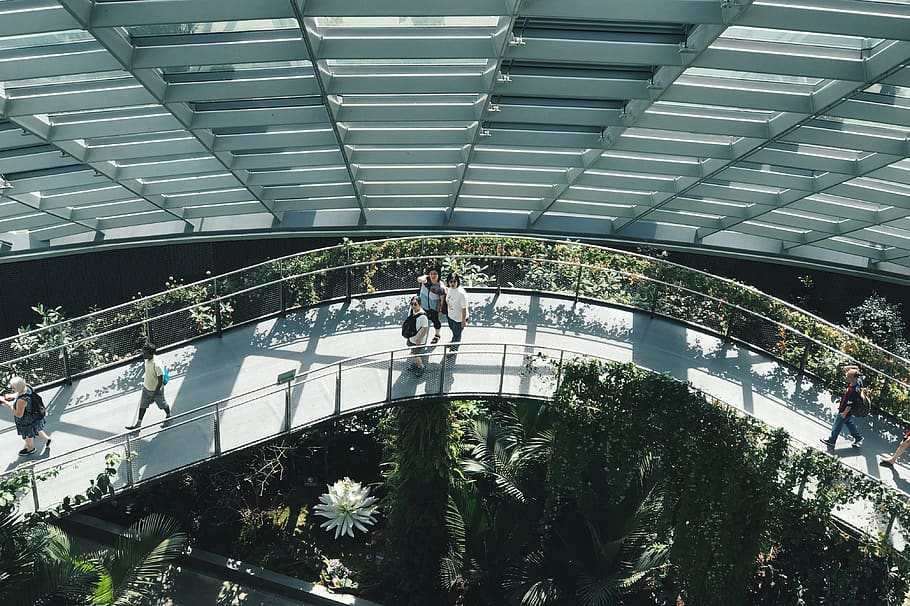 people walking on bridge, built structure, architecture, plant HD wallpaper