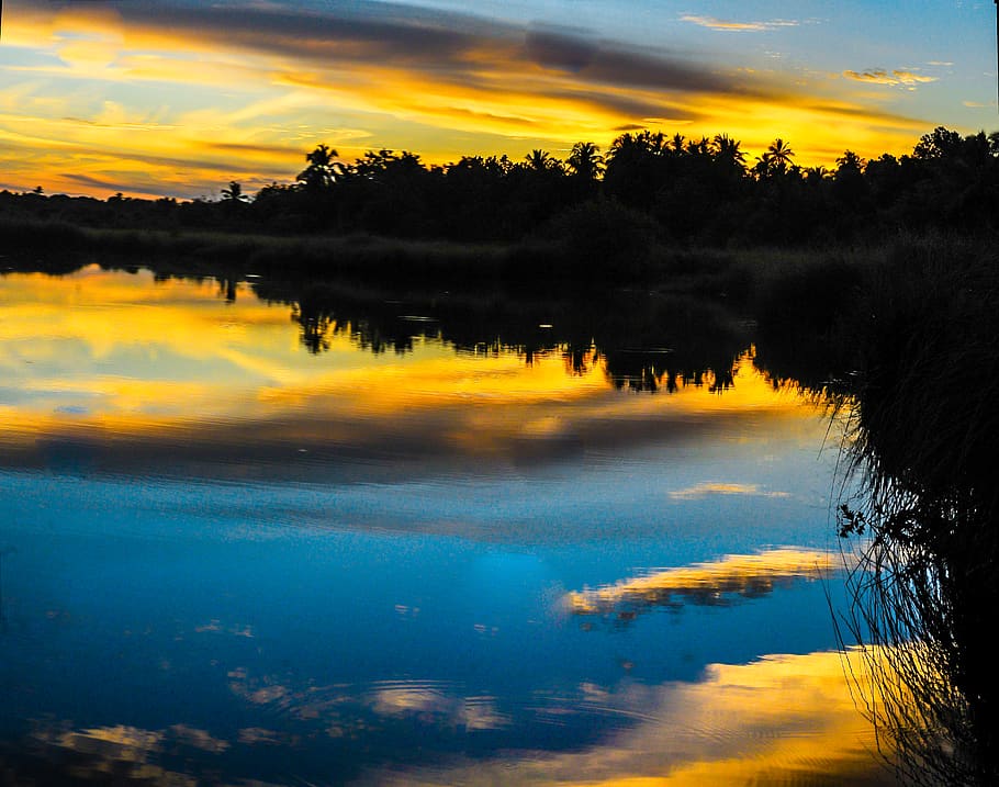 Silhouette of Trees Near Body of Water, clouds, dawn, landscape HD wallpaper