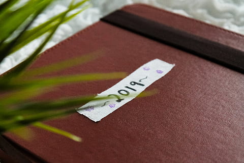 file binder, plant, file folder, text, 2019, asthetic, journal HD wallpaper
