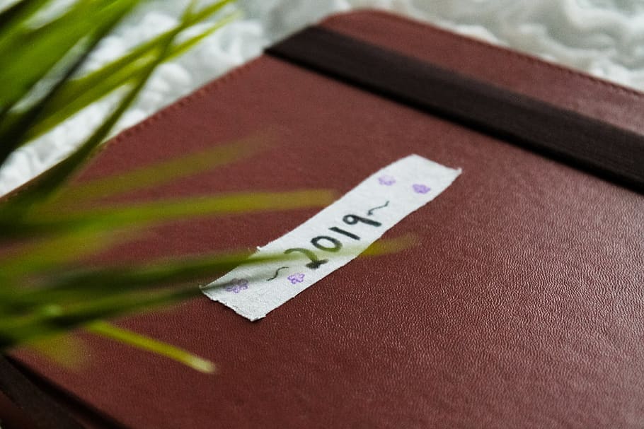 file binder, plant, file folder, text, 2019, asthetic, journal HD wallpaper