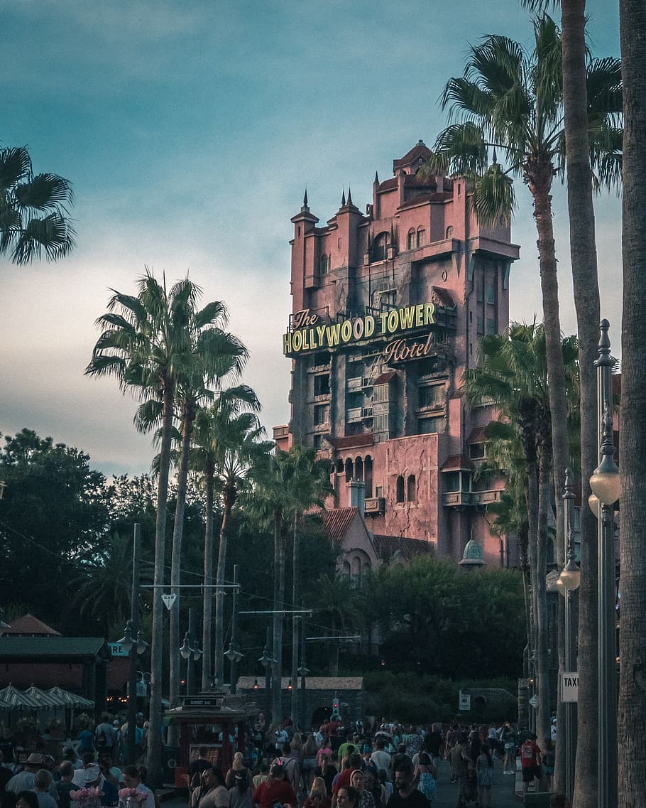 building, arecaceae, tree, palm tree, plant, human, person HD wallpaper