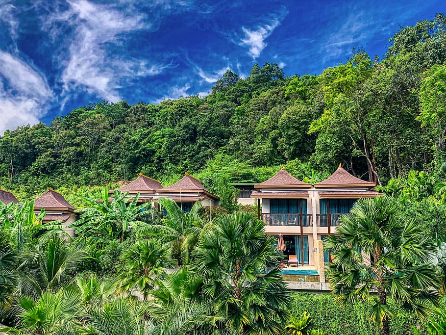 rest house surrounded by trees, plant, built structure, building exterior HD wallpaper