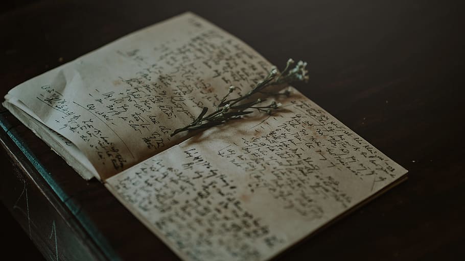 Close-up Photo of White and Black Journal, close -up, data, flowers HD wallpaper