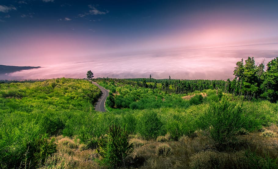 tenerife, way, view, sky, nature, teide, clouds, beauty in nature HD wallpaper