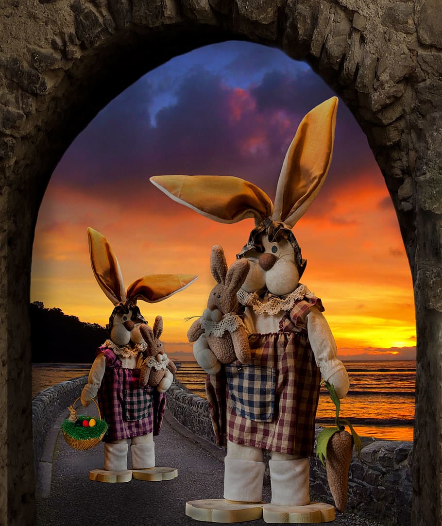 bunny, easter, festival, object, toy, season, sky, sunset, nature HD wallpaper