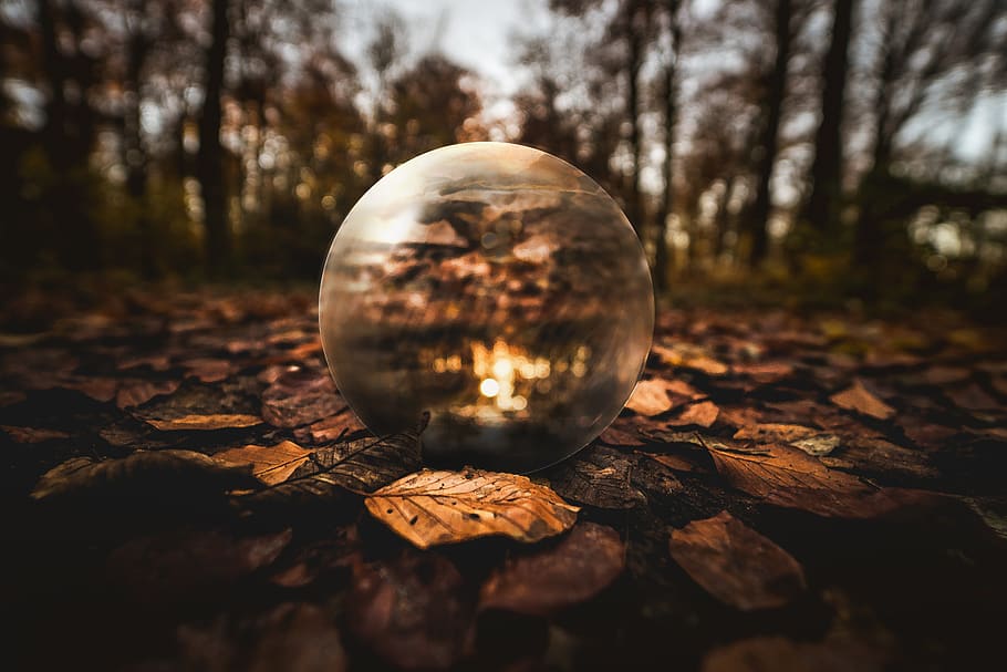 Selective Focus Photography of Clear Glass Ball on Brown Leaves on Ground HD wallpaper