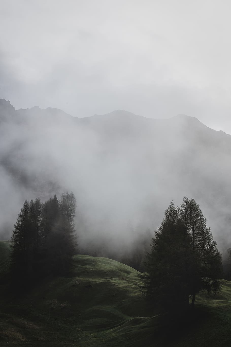 green leafed trees, landscape, fog, hill, mist, mountain, nature HD wallpaper