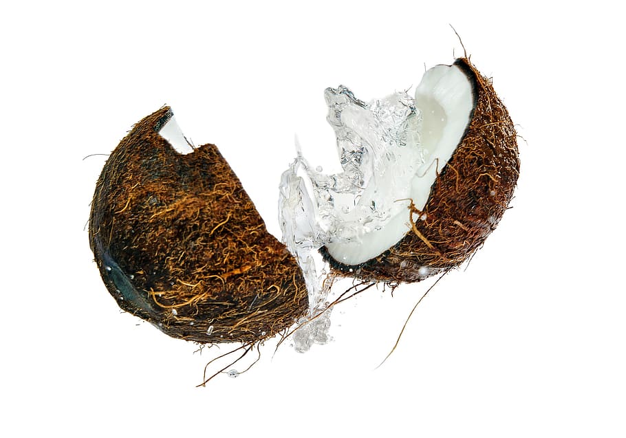 coconut, blast, split, spray, falls, wet, walnut, white background HD wallpaper
