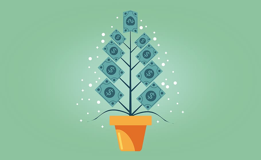 Money Growing on a Tree - Capital Appreciation Concept, cash