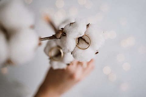 two gold-colored wedding rings, cotton, white, bokeh, hand, human HD wallpaper