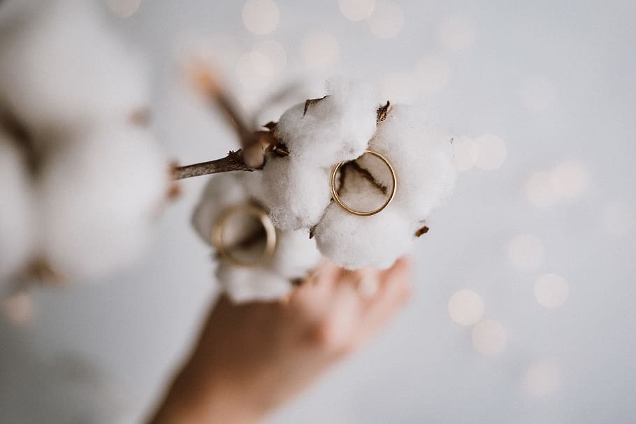 two gold-colored wedding rings, cotton, white, bokeh, hand, human HD wallpaper