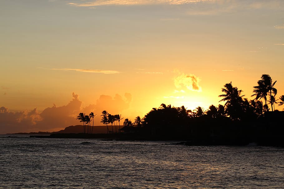 sunset, palm trees, beach, ocean, sky, beauty in nature, scenics - nature HD wallpaper