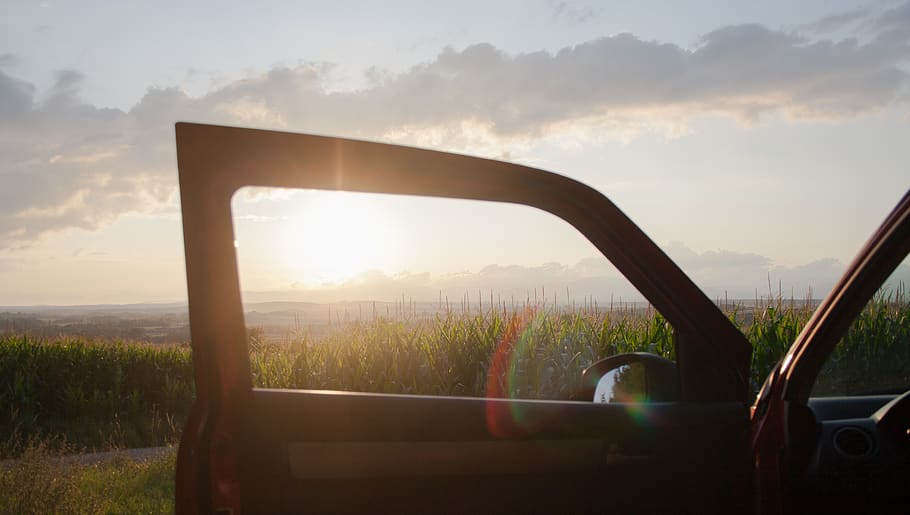 forest, sunset, chill, car, summer, landscape, sky, motor vehicle HD wallpaper