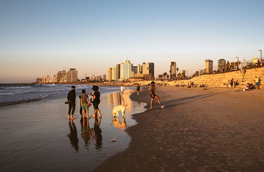 israel, tel aviv-yafo, sunset, people, sand, sea, reflection, HD wallpaper
