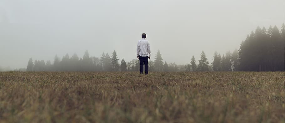 field, grass, guy, man, people, trees, fog, nature, one person HD wallpaper