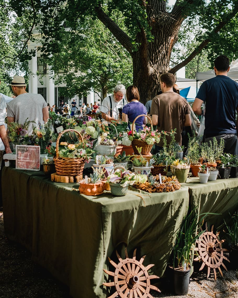 people beside assorted plants on table, real people, men, group of people HD wallpaper