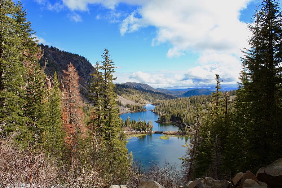 mammoth, lake, forest, water, tree, plant, sky, scenics - nature HD wallpaper