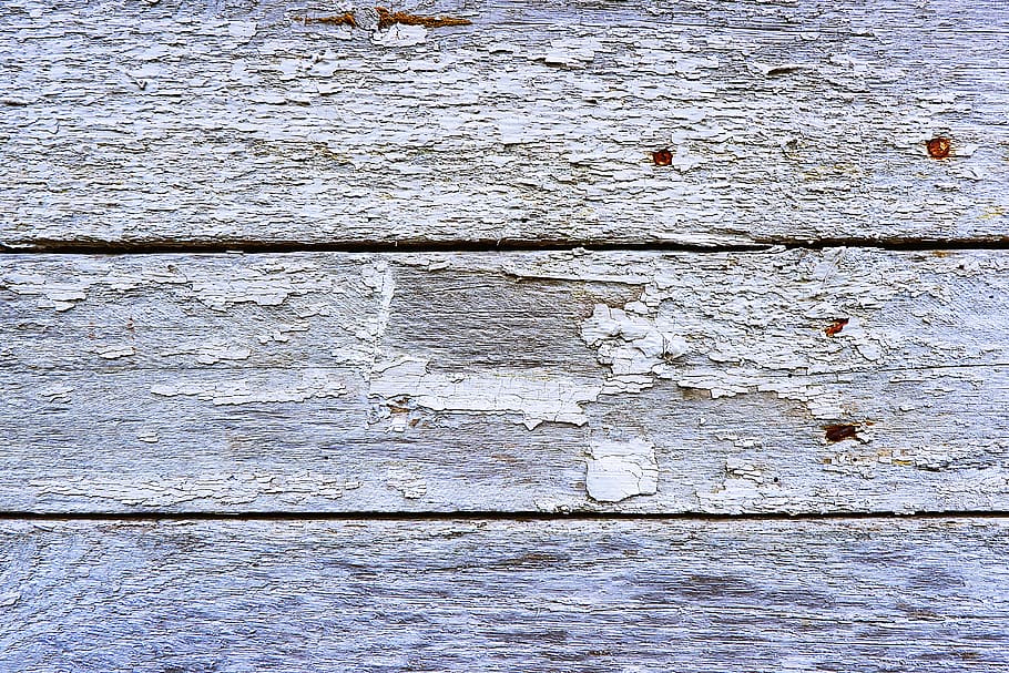 gray wooden wall, waterfowl, animal, bird, mallard, duck, outdoors HD wallpaper