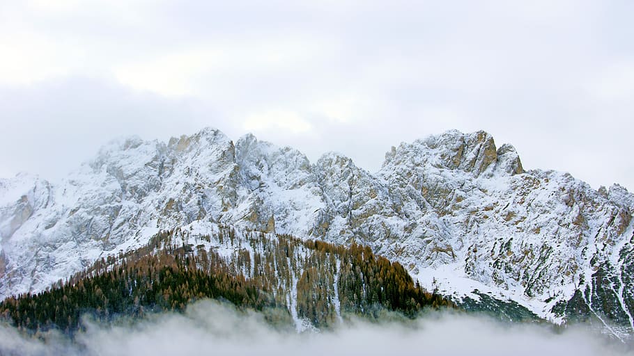 snow covered mountain, outdoors, nature, plant, tree, fir, abies HD wallpaper