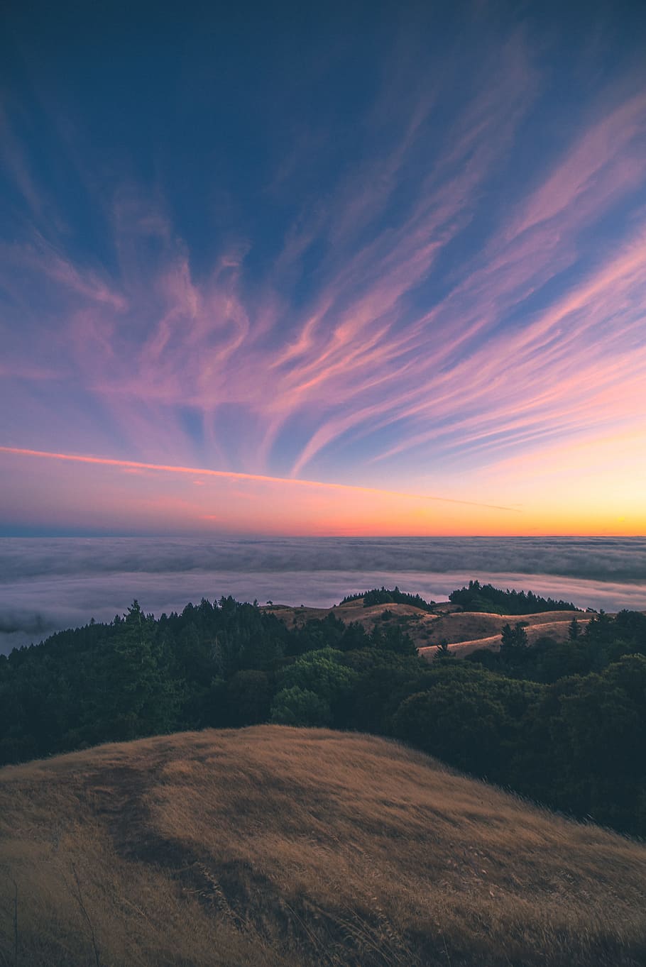 field, cloud, sky, sunset, sunrise, outdoors, tree, woodland HD wallpaper