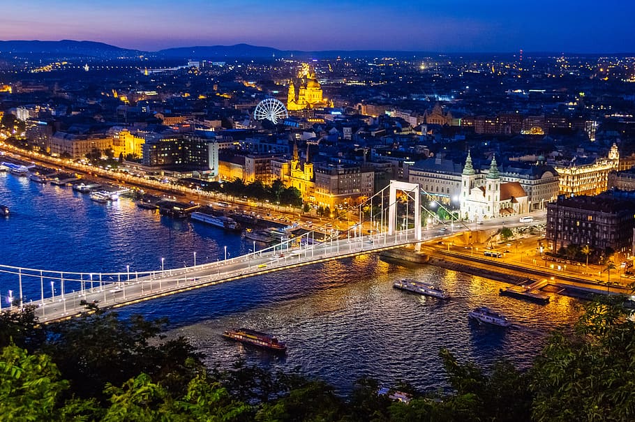 budapest, hungary, night, danube, bridge, beautiful, in the evening HD wallpaper