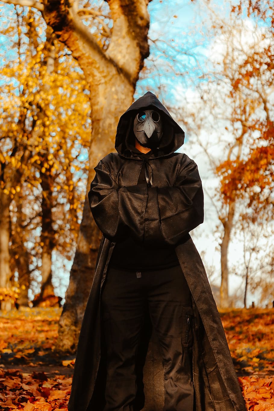 man wearing black coat, autumn, tree, one person, clothing, change HD wallpaper