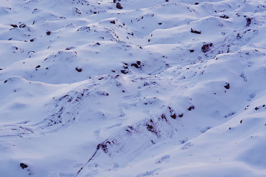 snow covered field, winter, wallpaper, background, sunset, landscape HD wallpaper