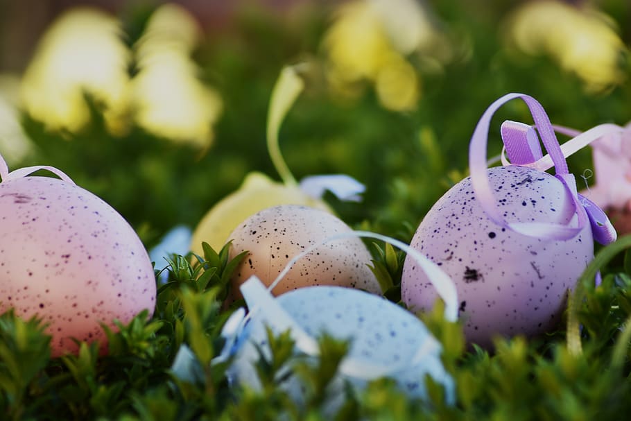 easter, egg, color, holiday, cant, spring, nature, greeting card HD wallpaper